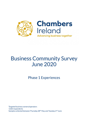 Chambers Ireland Suvey Report June 1