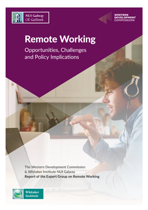 Expert Group Remote Working Report 2020